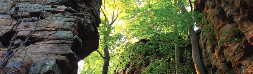 Felsenweg 3 im NaturWanderPark delux, © NP Südeifel ZV / Charly Schleder