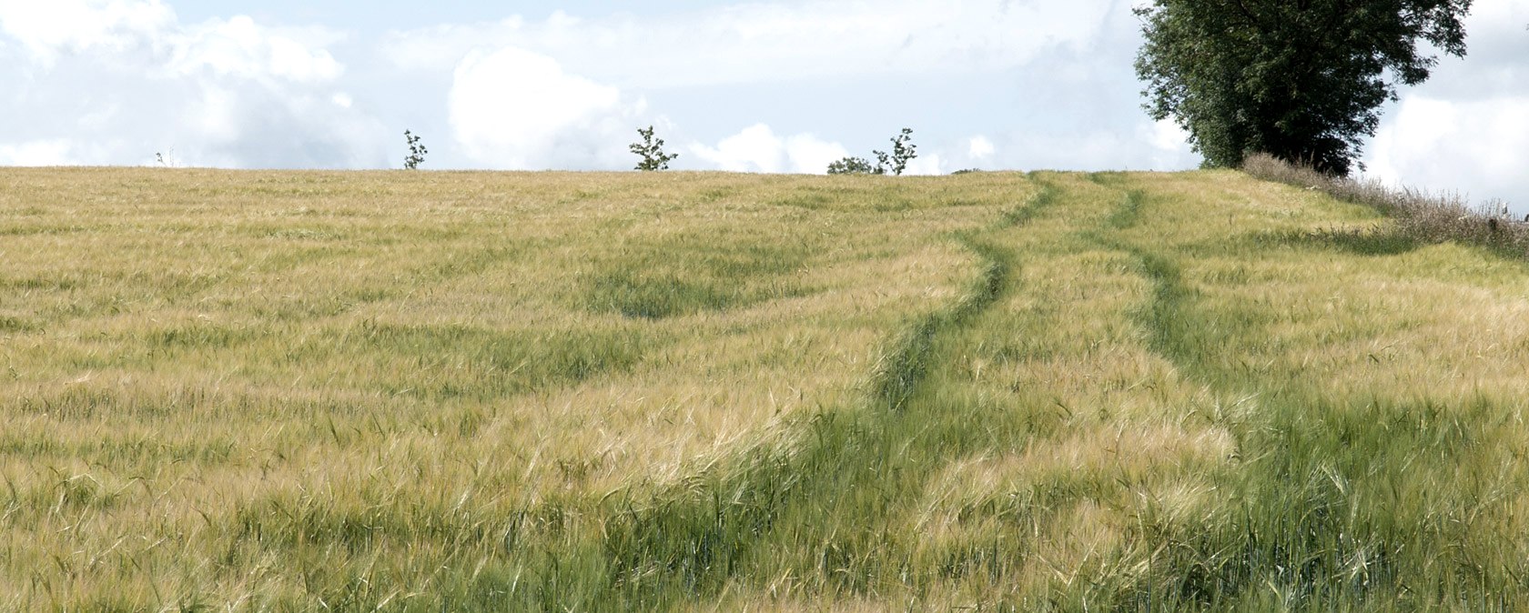 Eifel, © V. Teuschler