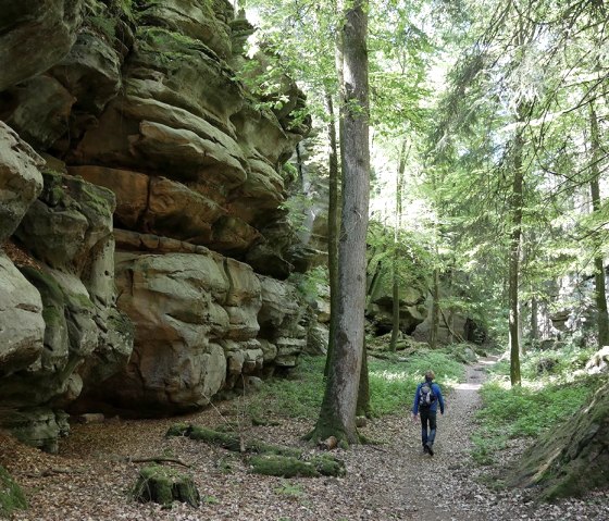 In der Moarkendell/Grüne Hölle Bollendorf, © Felsenland Südeifel Tourismus GmbH, Elke Wagner