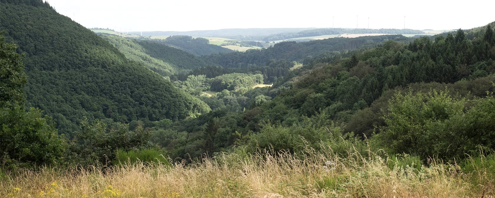 Blick über die Südeifel, © V. Teuschler