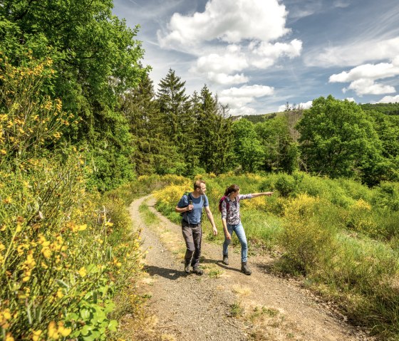 Wandern auf der Eifelgold Route im NaturWanderpark delux, © Eifel Tourismus GmbH, Dominik Ketz